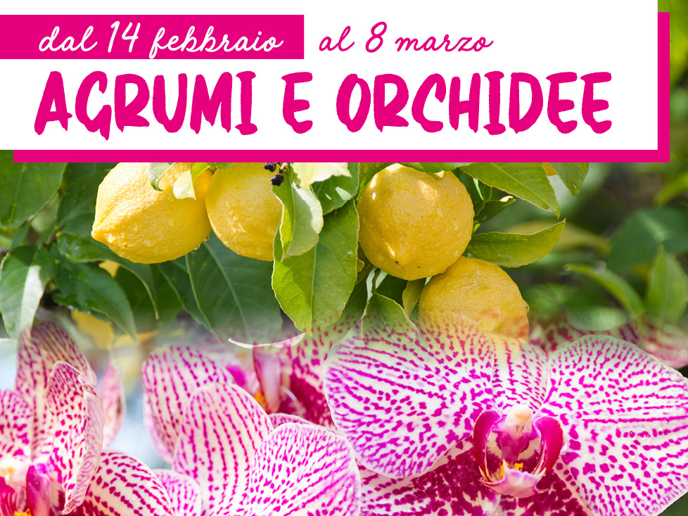 Mostra Agrumi Orchidee